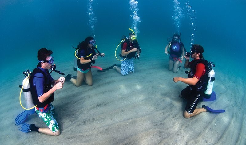 Professional Diving Programs for College Students