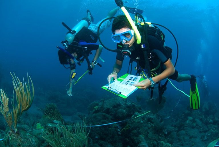 Marine Biology Summer Programs for Teens | Broadreach