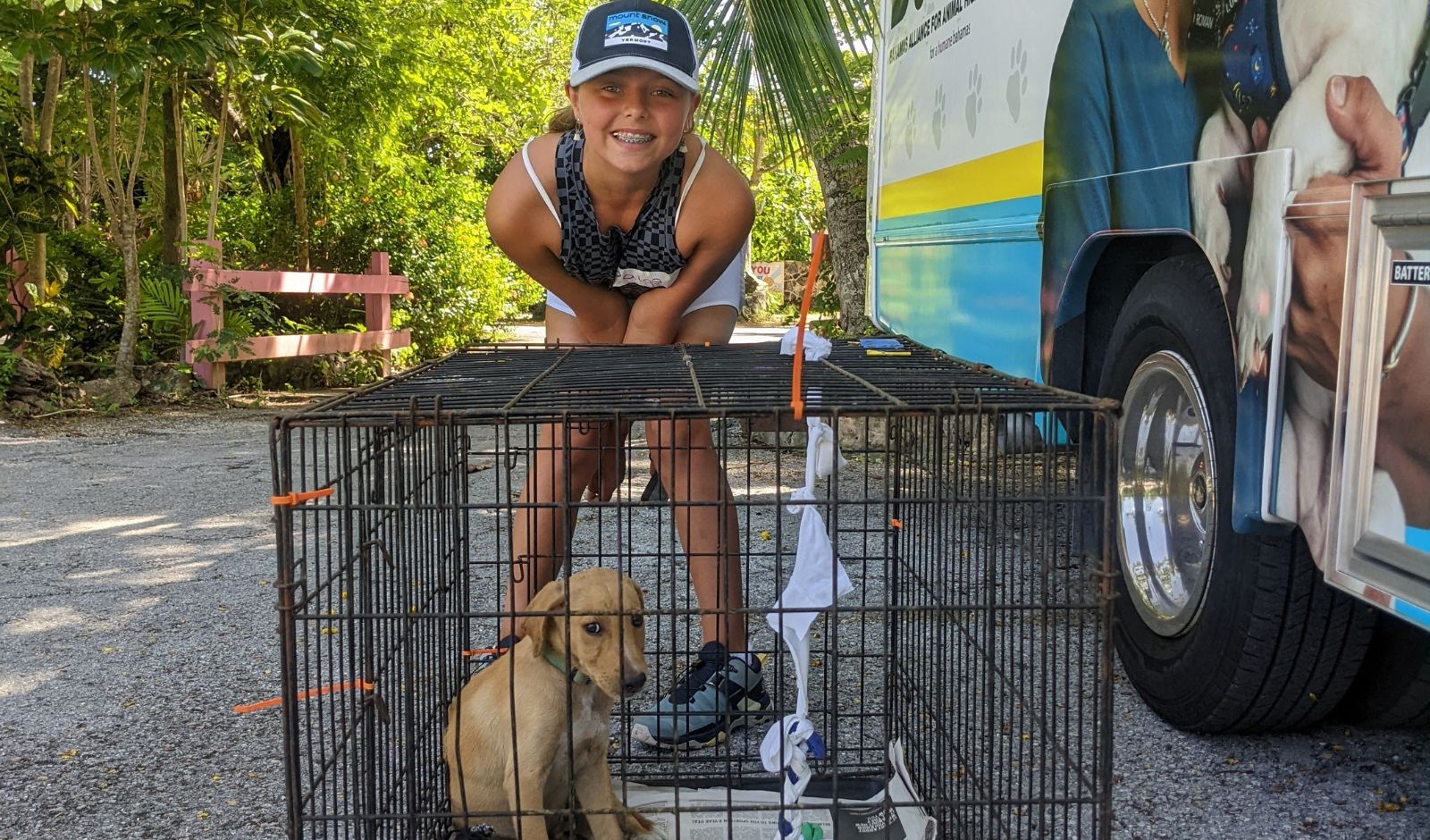 Veterinary Summer Camps for Teens Broadreach