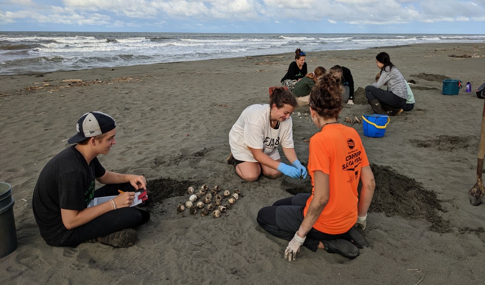 Marine Biology Summer Camps for Teens | Broadreach