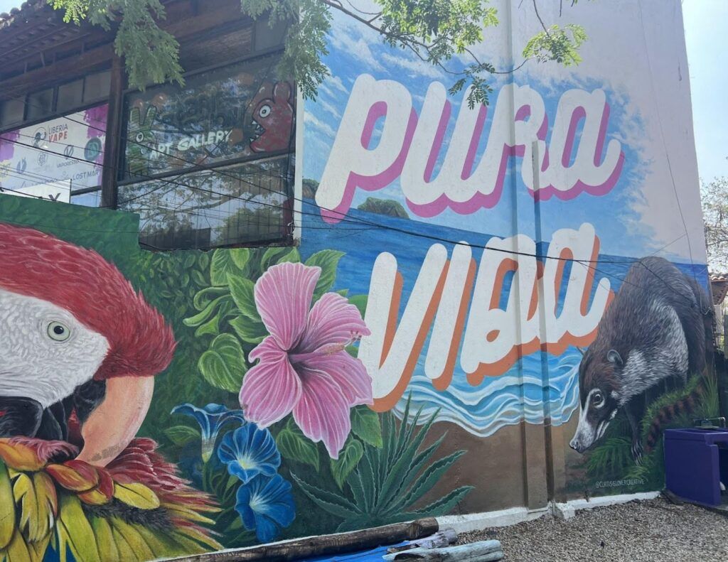 "Pura Vida" mural from Costa Rica program seen during Broadreach trip