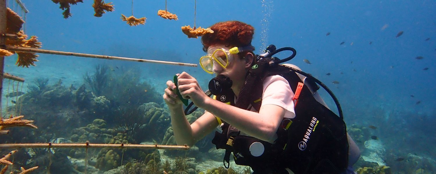 a middle school student assist with coral conservation on a Broadreach marine biology program in Bonaire