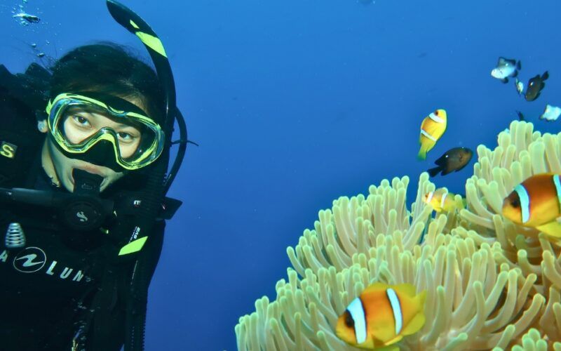 High school student diving underwater near anemone and clownfish on Red Sea summer dive program