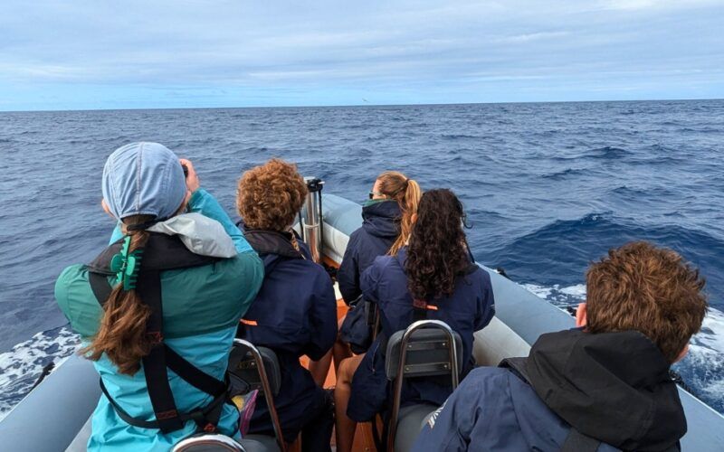 high school students observe whales in the Azores on Broadreach summer program