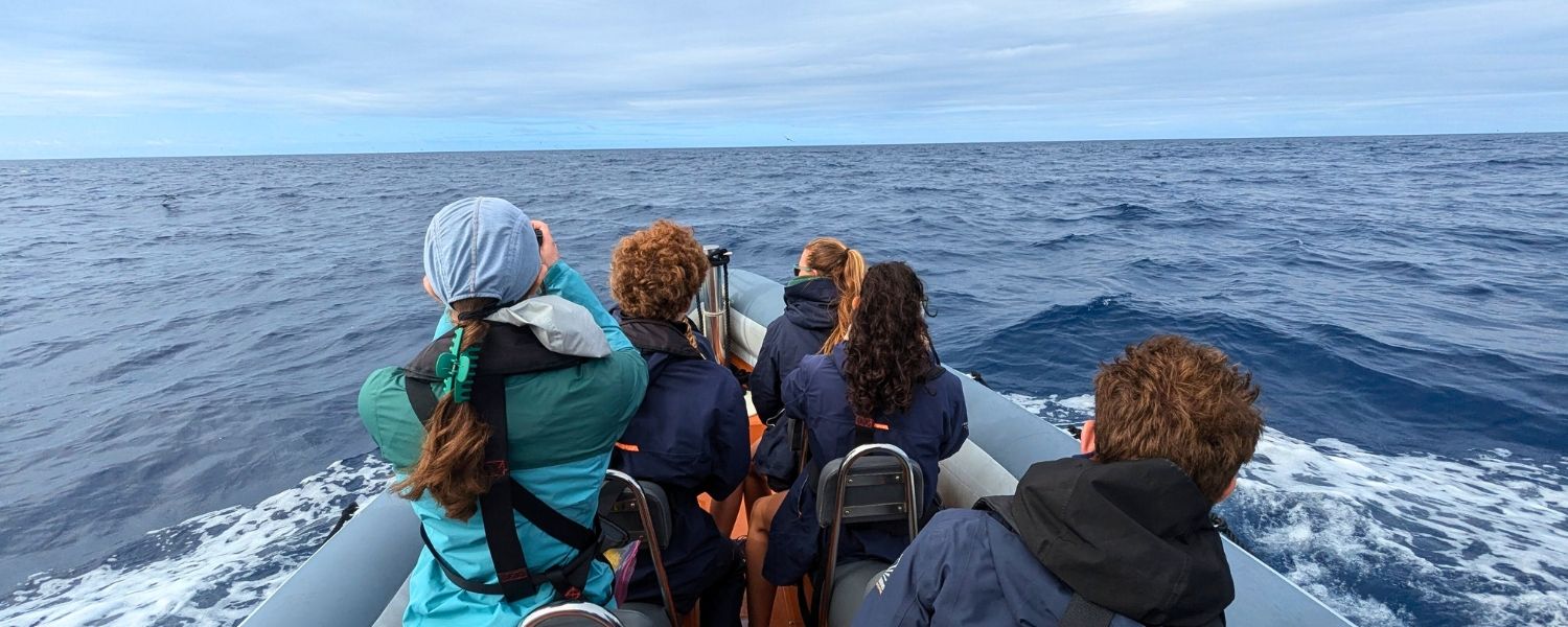 high school students observe whales in the Azores on Broadreach summer program