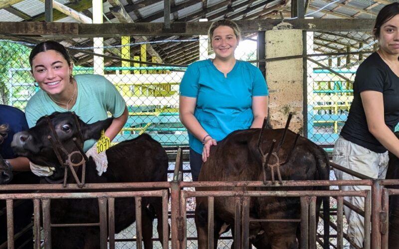 High school students pose with livestock during veterinary summer program in Costa Rica