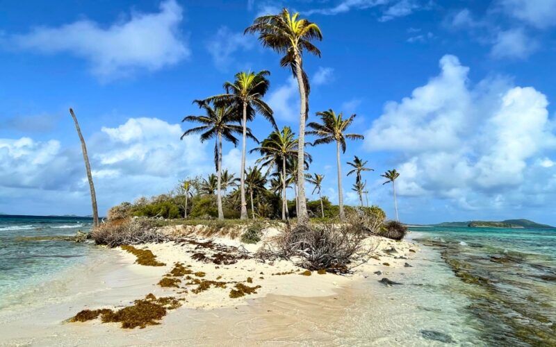 Remote island in the Grenadines on Broadreach program