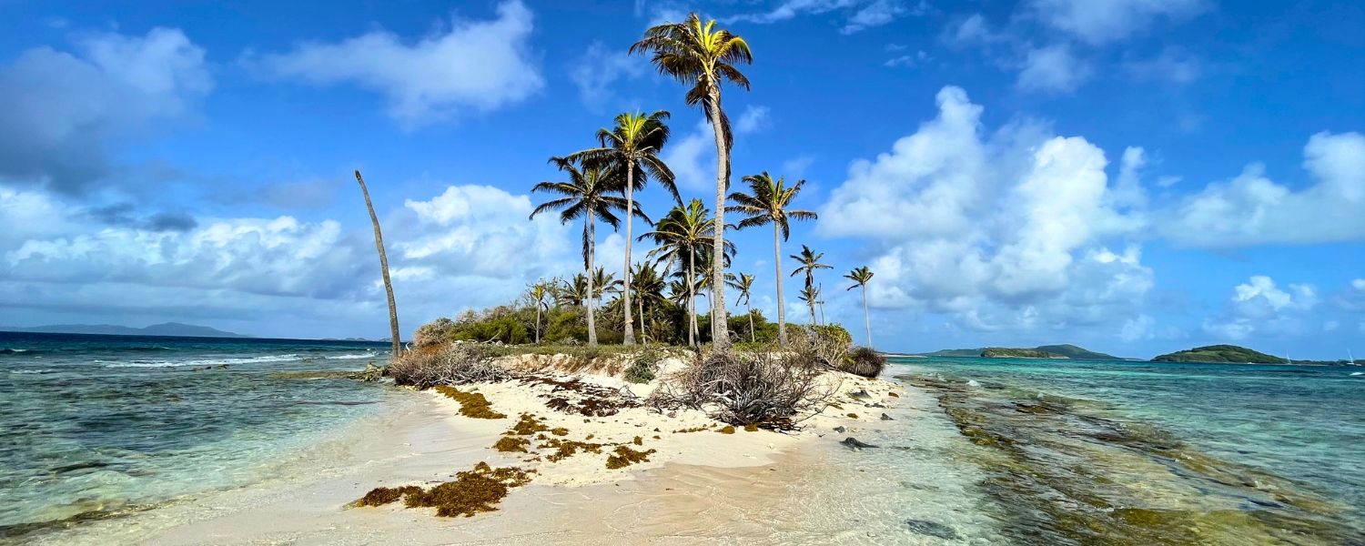 Remote island in the Grenadines on Broadreach program